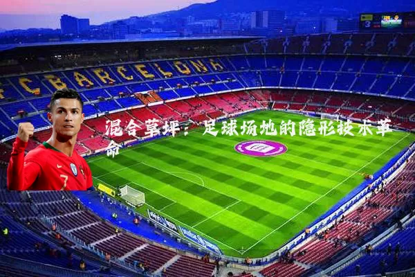 混合草坪：足球场地的隐形技术革命