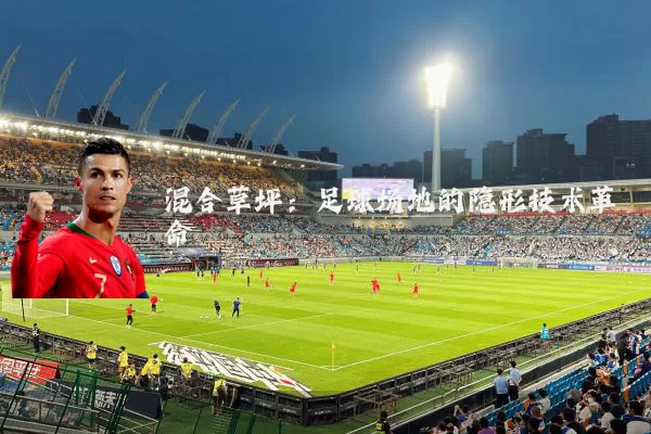 混合草坪：足球场地的隐形技术革命
